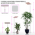 Plant Grow Light,BESTVA LED Growing Light Full Spectrum for Indoor Plants,Height Adjustable, Automatic Timer